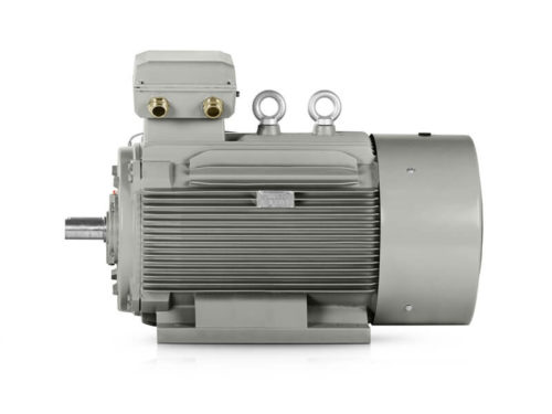 Elektromotor 110 kW 3LC315L2-8, 735 ot.min.-1