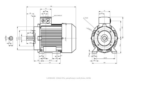 vykres prirubovy elektromotor Siemens kW 6