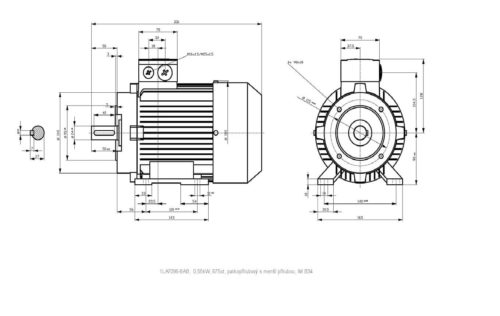 vykres prirubovy elektromotor Siemens kW 6