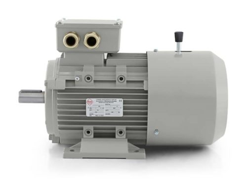 elektromotor s brzdou 0,75kw 1ALBR90S-6