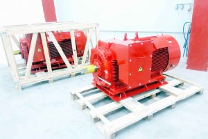 355kW electric motor